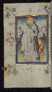 W.165, fol. 116v