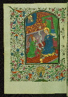 W.246, fol. 49v