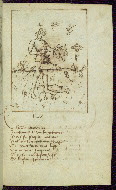W.313, fol. 52r