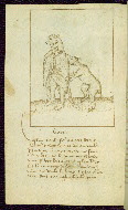 W.313, fol. 61v