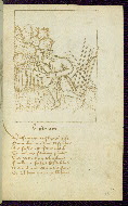 W.313, fol. 69r