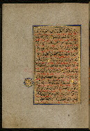 W.559, fol. 20a