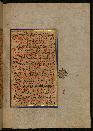 W.559, fol. 80b