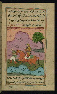 W.597, fol. 46b