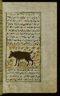W.659, fol. 100b