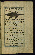 W.659, fol. 174b