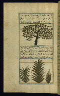 W.659, fol. 218a