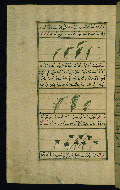 W.659, fol. 224a