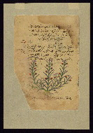 W.750, fol. W.750Ca
